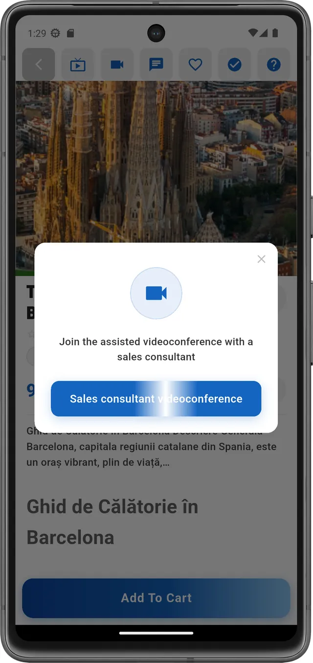 Videoconferință