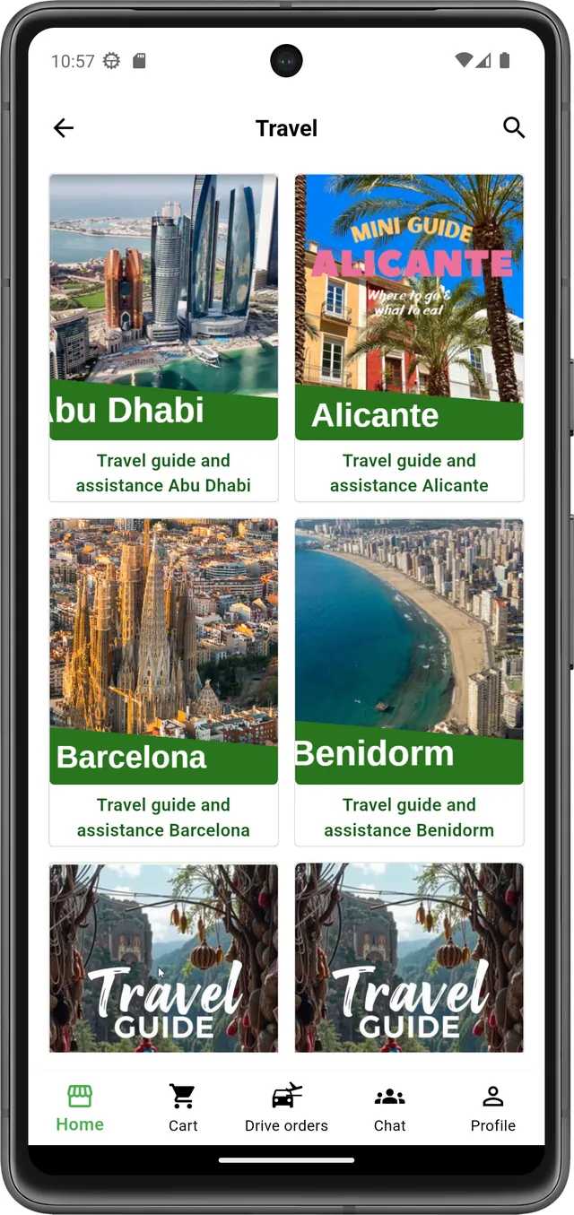 Aplicație mobilă VOGO — travel, agenții, ghizi locali